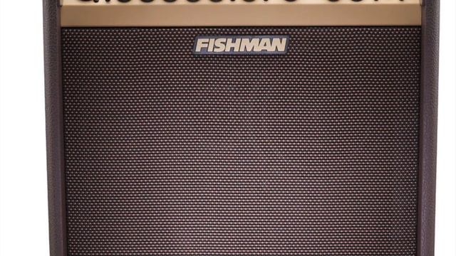 Fishman Loudbox Performer Amp Review смотреть онлайн