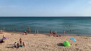 СРОЧНО!!! ДЕЛЬФИНЫ! Лучший пляж Черного моря! ВЕСЕЛОВКА. 25.07.2021 года.