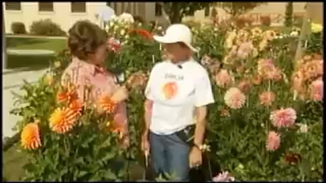 Great Gardens: History of Dahlias смотреть онлайн