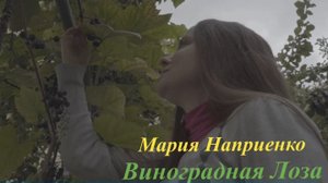 Виноградная Лоза