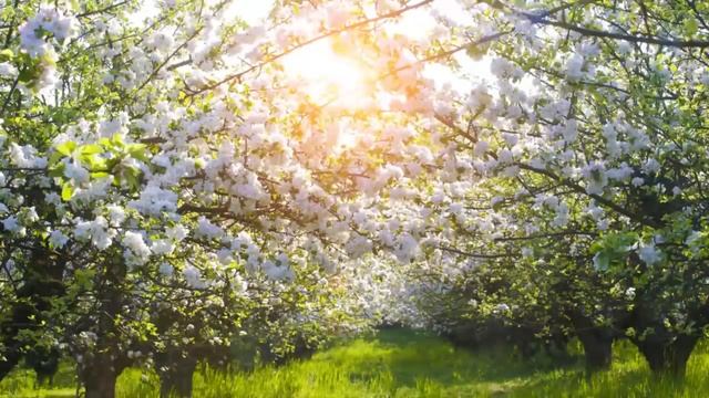 Твердите эту фразу постоянно. Игумен Никон(Воробьев).. смотреть онлайн