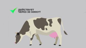 ОКСИЛОНГ РЕТАРД: антибиотик для лечения крупнорогатого скота