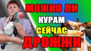 МОЖНО ли курам сейчас давать ДРОЖЖИ.