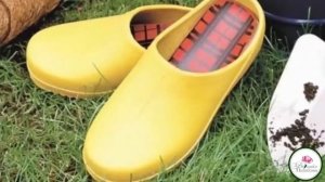 МОХ СФАГНУМ В ПОМОЩЬ САДОВОДАМ