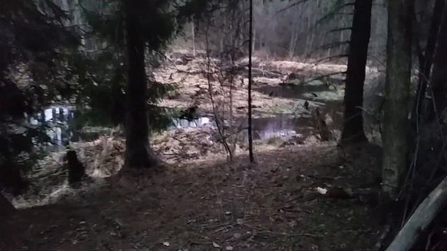 Бобровая плотина смотреть онлайн