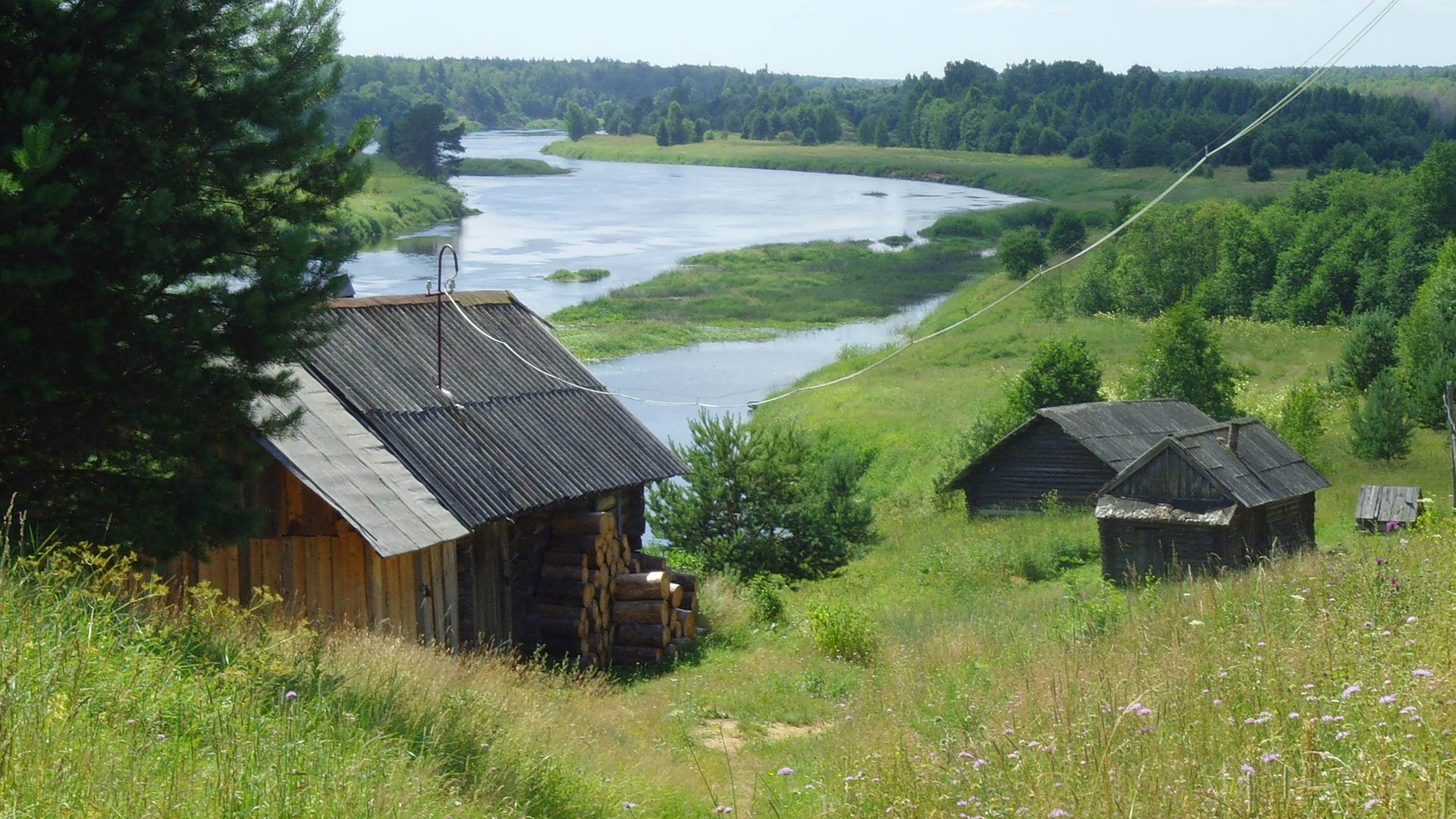 Природа реки Мологи