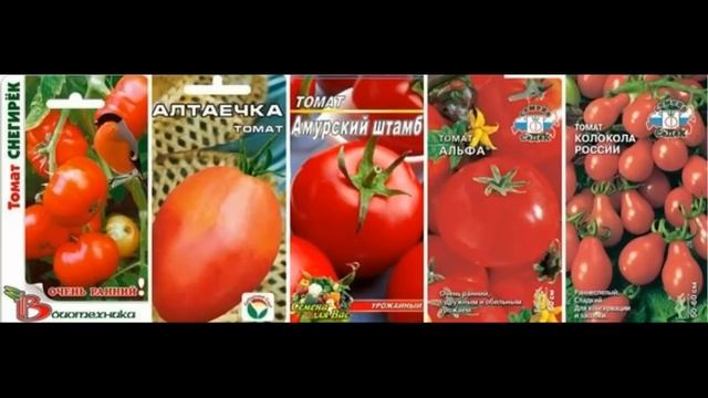 Помидоры для ЛЕНИВЫХ , Безрассадные и Рассадой . Сорта смотреть онлайн