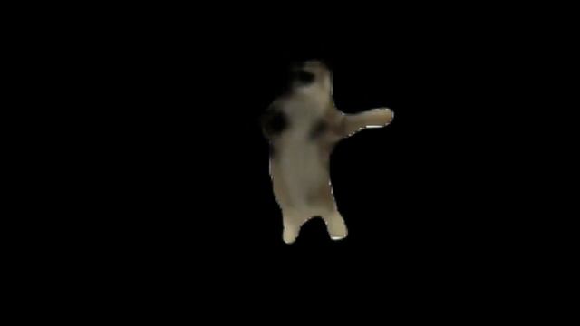 11 января 2024 г. смотреть онлайн