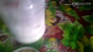 Как сделать кальций смесь для улиток