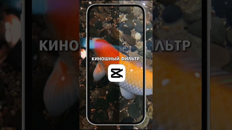 Как сделать киношный фильтр или улучшить качество видео и добавить контрастности