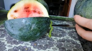 Кавун/Арбуз сорт Огонёк. Сладкие как мед, наш урожай!