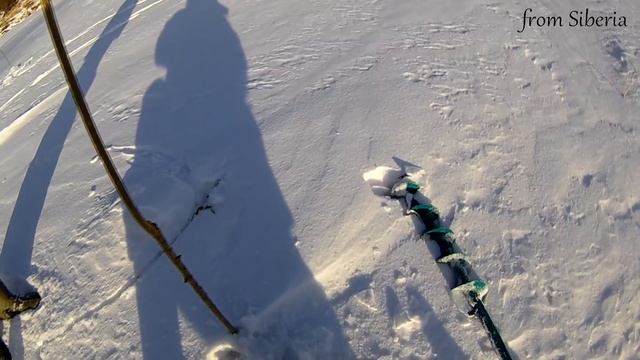 Проверка поставух на налима ноябрь 2017. Ловля налима зимой в Томской области. смотреть онлайн