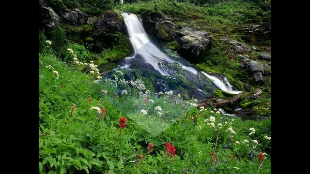 ЭВОЛЮЦИЯ СОЗНАНИЯ. 6.01.2022. смотреть онлайн