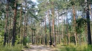 Грибные места республики Марий Эл. Сады Чернушка