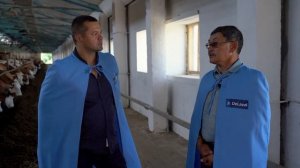 Умная молочная ферма в Казахстане: роботы-дояры, программы по управлению стадом, контроль кормления