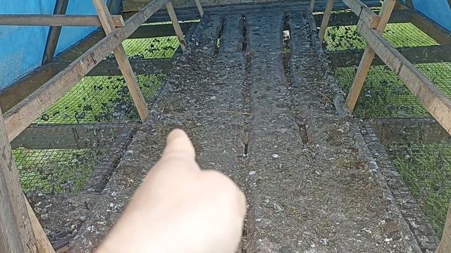 Обзор мобильного курятника, пастбищное птицеводство смотреть онлайн