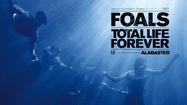 Foals mountain at my gates. Foals – total Life Forever. Black foal. Foals Blue Blood. Foals Warszawa 2013.