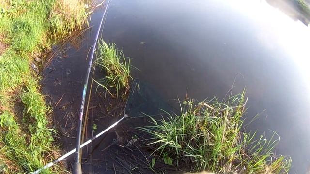 Рыбалка 6.22 "Красный Яр" 12 щук за 3 часа смотреть онлайн