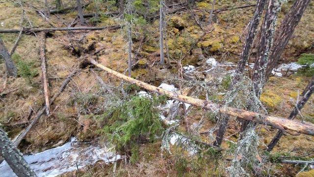 Еланка 16.05.23 смотреть онлайн