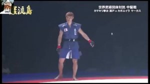 КАПУЭЙРА ПРОТИВ КУНГ ФУ И КАРАТЭ — СМЕРТЕЛЬНЫЙ ТУРНИР