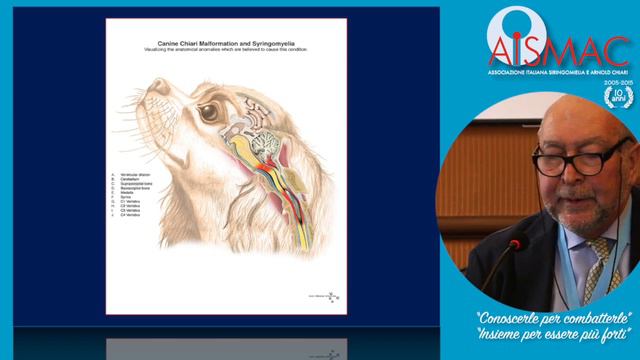 Relazione del prof. Antonio FEDERICO смотреть онлайн
