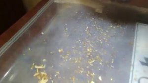 Как быстрее почистить от мусора (перебрать) покупной табак на развес