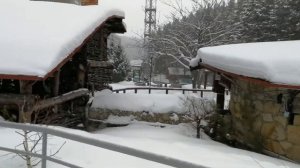 Отель Эхо обзор территории возле Санатория Россия Белокуриха