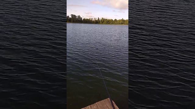 Валдай.озеро Блюдце. Монологи о рыбалке😁