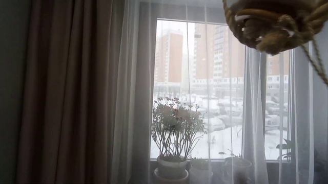 Евро-3 (распашонка) в современном жилом комплексе Домодедово Парк. смотреть онлайн