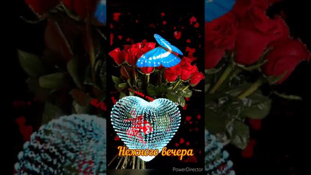 Доброго и Уютного Вечера!