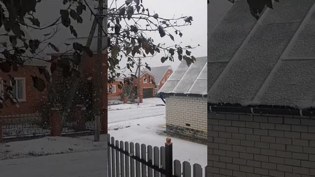 Конец октября, а уже зима. #снег смотреть онлайн