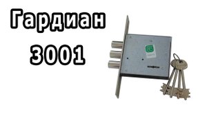 Обзор замка Гардиан 30.01