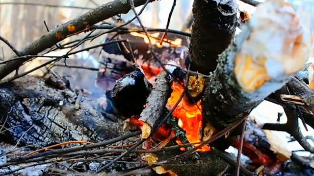 Сибирь,Томск, зима, костер. смотреть онлайн