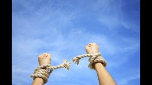 Всеобщая декларация прав человека. Официальный текст без изменений.