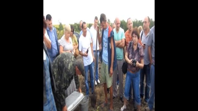 Как садить орех смотреть онлайн