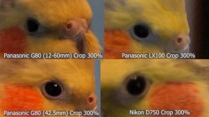 Camera Test FHD 24p (1/50s): panasonic G80/G85 VS panasonic LX100 VS  nikon D750