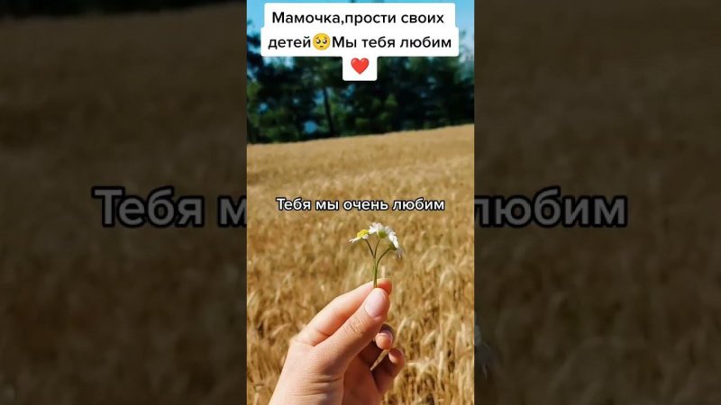 Мамочка моя, прости своих детей