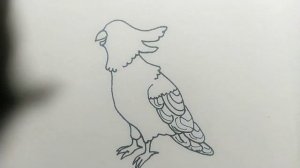 Как нарисовать попугая