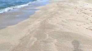 🌊Коса Беляус❤️ Осень🍂🏊