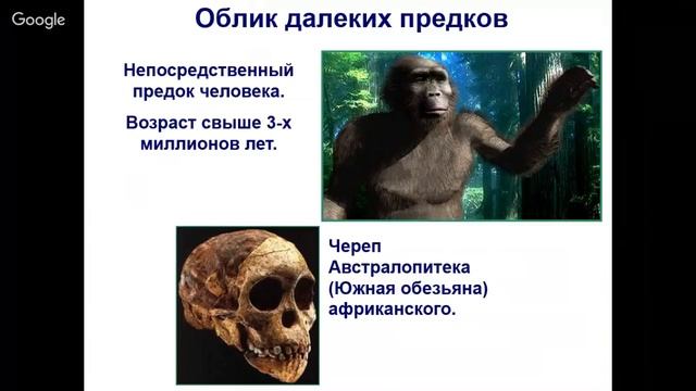 Всеобщая история 5 класс 1-2 недели. Что такое история