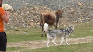 Самурский лес, Крепость и Водопад Хучни, Природный и Деревянный мосты. Северный Кавказ. Часть 3.