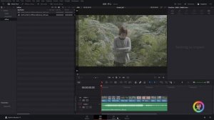 Conforming an EDL/XML in Resolve - Free Assets