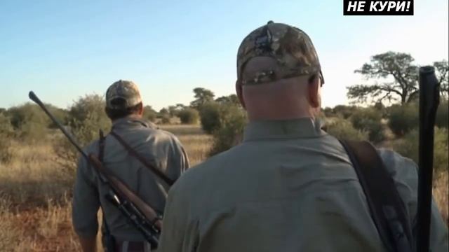 Охота на голубого гну. Африканское сафари - 2021г смотреть онлайн