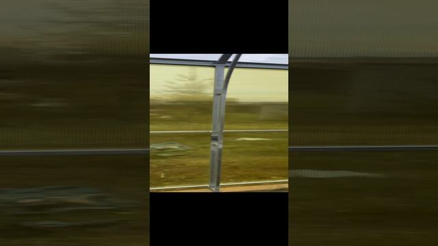 Теплица «Павильон» 4м