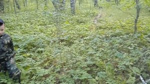 В тайгу по грибы. Удачно сходили с сыном и набрали грибочков.