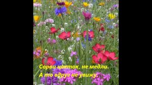 Рабиндранат Тагор .
Сорви цветочек...