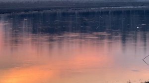 Очень много рыбы!!!!