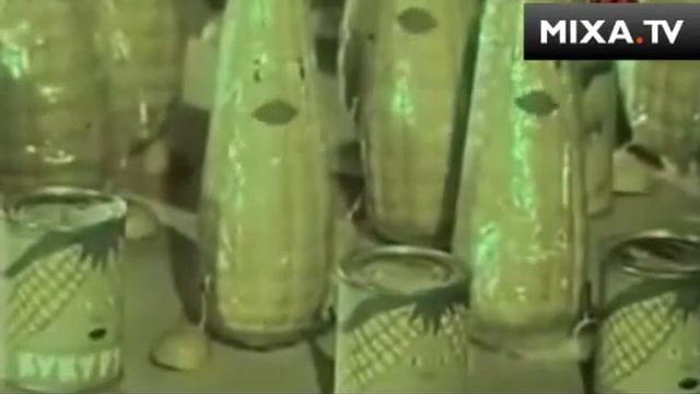 Хрущевская царица полей