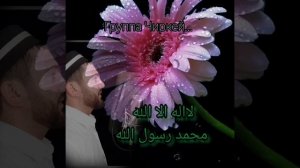 Красивый нашид на аварском языке, зикру;"группа Чиркей "(2022)#новинка#нашиды #даридобро #shortvide