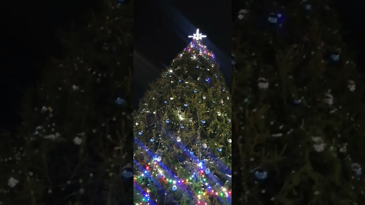 " В лесу родилась Ёлочка " спела не удержалась, с Ёлкой на площади - попрощалась смотреть онлайн